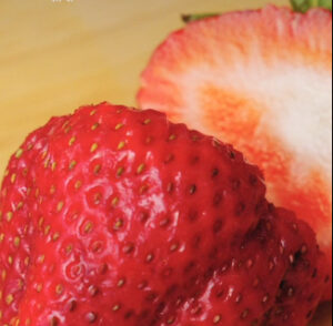 ਘਰਦਿਆਂ ਲਈ ਬਣਾਉਣਾ ਹੈ ਕੁੱਝ ਖ਼ਾਸ ਤਾਂ ਬਣਾਓ ਪਨੀਰ ਲਬਾਬਦਾਰ, ਜਾਣੋ ਬਣਾਉਣ ਦੀ ਵਿਧੀ