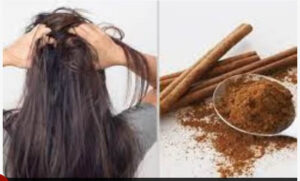 ਦਾਲਚੀਨੀ ਨਾਲ ਬਣਾਓ ਵਾਲਾਂ ਲਈ ਹੇਅਰ ਮਾਸਕ, ਵਾਲ ਹੋਣਗੇ ਮਜ਼ਬੂਤ ਅਤੇ ਸੰਘਣੇ