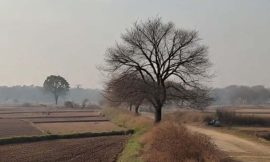 ਅੱਜ ਮੌਸਮ ਦਾ ਕੋਈ ਅਲਰਟ ਨਹੀਂ